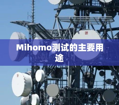 Mihomo测试的主要用途