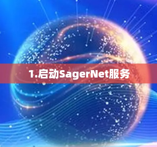1.启动SagerNet服务