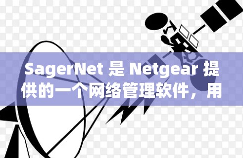SagerNet 是 Netgear 提供的一个网络管理软件，用于简化网络设备的配置和管理。以下是使用 SagerNet 的基本教程，假设你已经下载并安装了相关软件