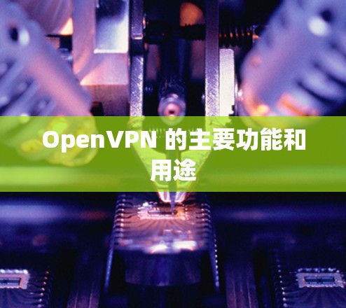 OpenVPN 的主要功能和用途