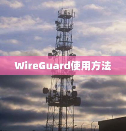 WireGuard使用方法 WireGuard使用方法