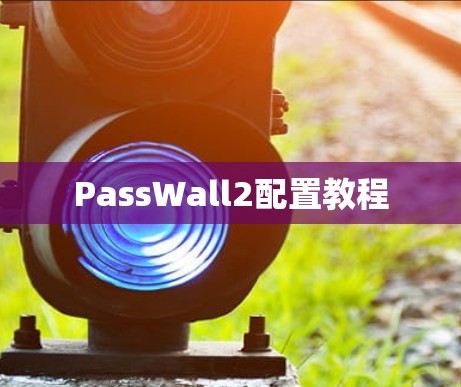 PassWall2配置教程