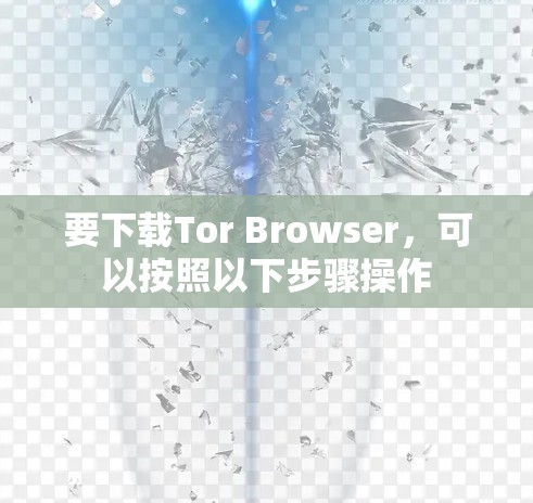 要下载Tor Browser，可以按照以下步骤操作