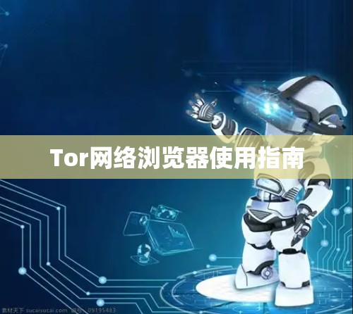 Tor网络浏览器使用指南