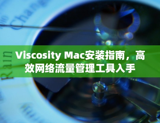 Viscosity Mac安装指南，高效网络流量管理工具入手