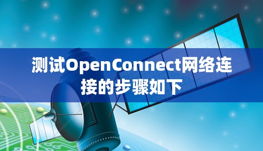 测试OpenConnect网络连接的步骤如下