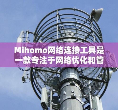 Mihomo网络连接工具是一款专注于<strong>网络优化</strong>和管理的解决方案，旨在帮助用户提升网络性能和安全性。以下是Mihomo网络连接工具的主要功能和特点