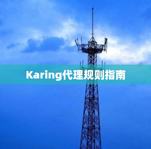 Karing代理规则指南 Karing代理规则指南