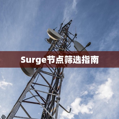 Surge节点筛选指南 Surge节点筛选指南