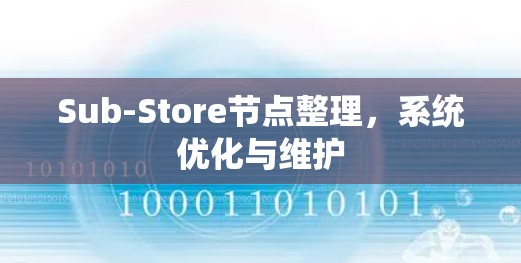 Sub-Store节点整理,系统优化与维护 Sub-Store节点整理,系统优化与维护