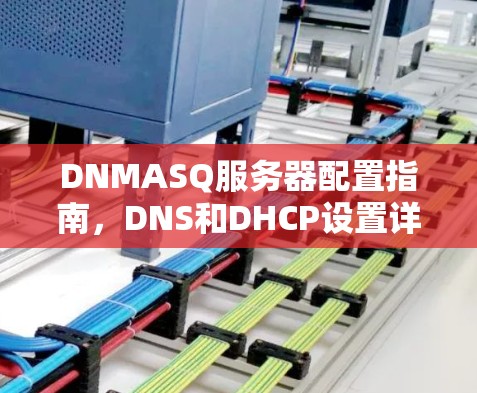 DNMASQ服务器配置指南,DNS和DHCP设置详解