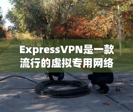 ExpressVPN是一款流行的虚拟专用网络(VPN)服务,旨在保护用户的隐私和安全,提供匿名上网和加密通信的功能。以下是使用ExpressVPN的基本步骤