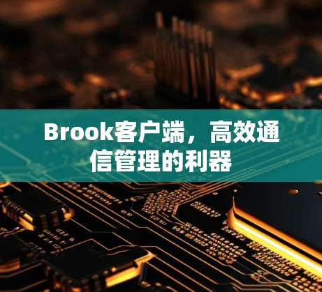 Brook客户端,高效通信管理的利器