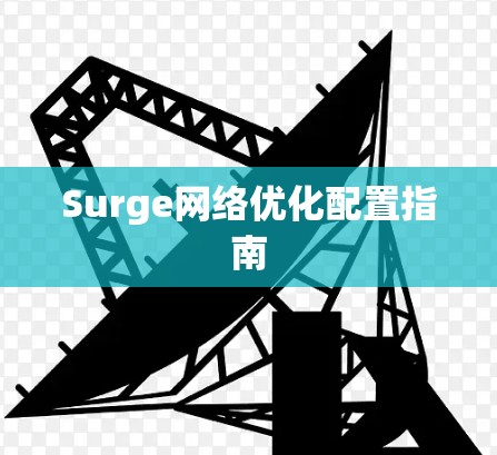Surge<strong>网络优化</strong>配置指南
