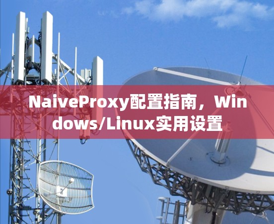 NaiveProxy配置指南,Windows/Linux实用设置