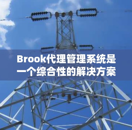 Brook代理管理系统是一个综合性的解决方案,旨在帮助企业高效地管理代理商业务。以下是对Brook代理管理系统的详细分析和总结