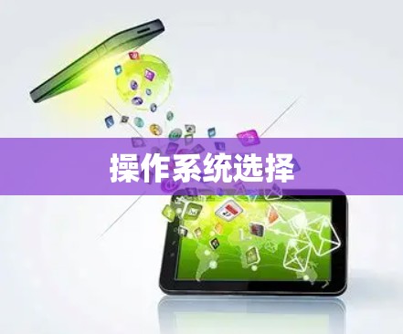操作系统选择