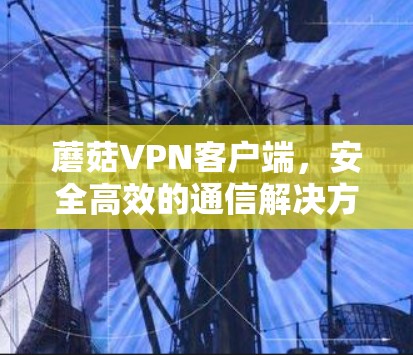 蘑菇VPN客户端,安全高效的通信解决方案