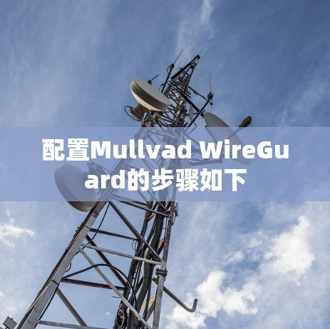 配置Mullvad WireGuard的步骤如下 配置Mullvad WireGuard的步骤如下