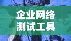 企业网络测试工具的重要性及应用 企业网络测试工具的重要性及应用