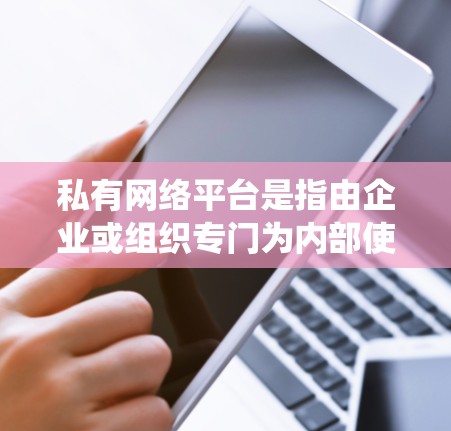 私有网络平台是指由企业或组织专门为内部使用而开发或运用的闭环系统，这些平台通常为特定用户提供定制化服务和功能，具有高度的安全性和控制性。以下是对私有网络平台的详细分析