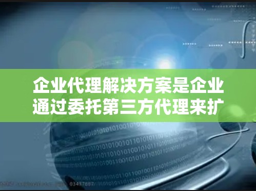企业代理解决方案是企业通过委托第三方代理来扩展业务的战略工具，旨在实现市场扩展、风险管理、成本控制和客户体验优化。以下是制定和实施代理解决方案的详细步骤
