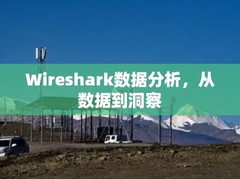 Wireshark数据分析，从数据到洞察