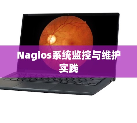 Nagios系统监控与维护实践
