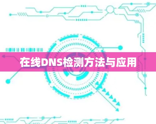 在线DNS检测方法与应用
