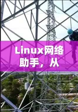 Linux网络助手，从零开始到高手