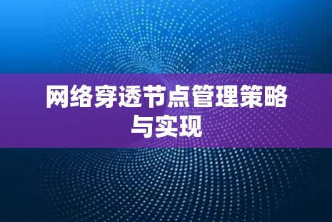 网络穿透节点管理策略与实现 网络穿透节点管理策略与实现