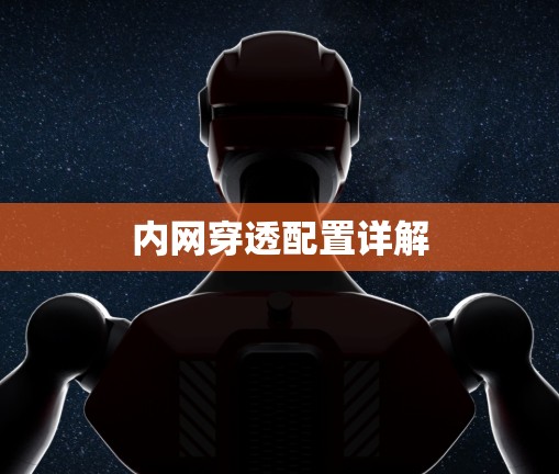 内网穿透配置详解 内网穿透配置详解