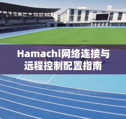 Hamachi网络连接与远程控制配置指南