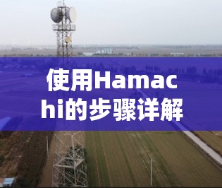 使用Hamachi的步骤详解 使用Hamachi的步骤详解