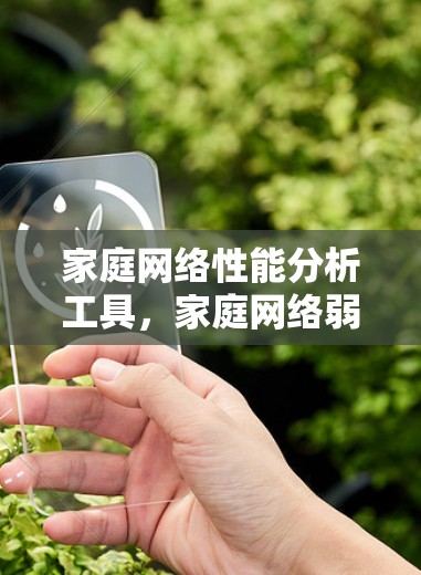 家庭网络性能分析工具，家庭网络弱势测试与优化