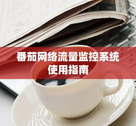 番茄网络流量监控系统使用指南