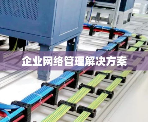 企业网络管理解决方案 企业网络管理解决方案