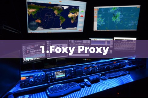 1.Foxy Proxy