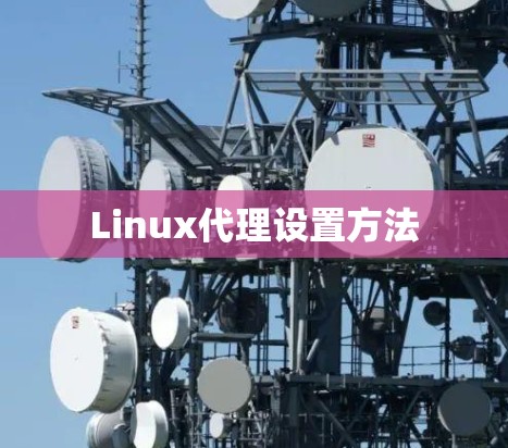 Linux代理设置方法
