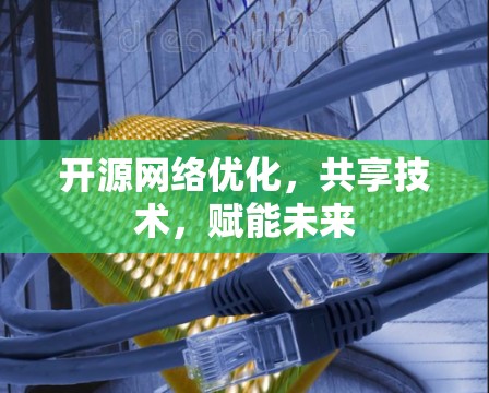 开源<strong>网络优化</strong>，共享技术，赋能未来