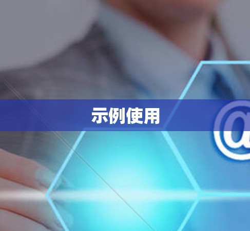 示例使用