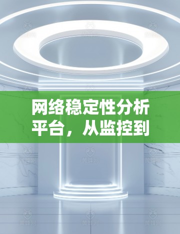 网络稳定性分析平台，从监控到优化的全方位保障