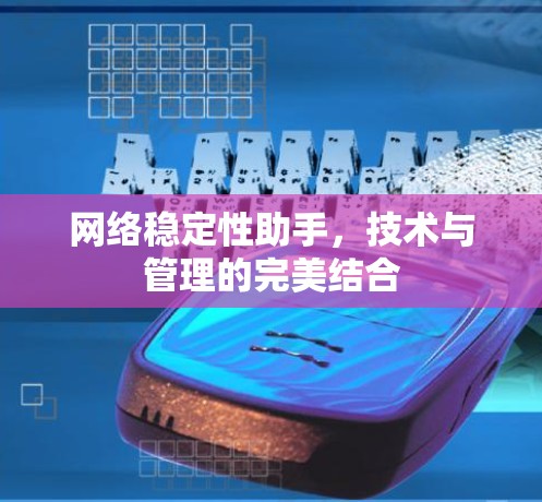 网络稳定性助手，技术与管理的完美结合