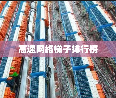 高速网络梯子排行榜