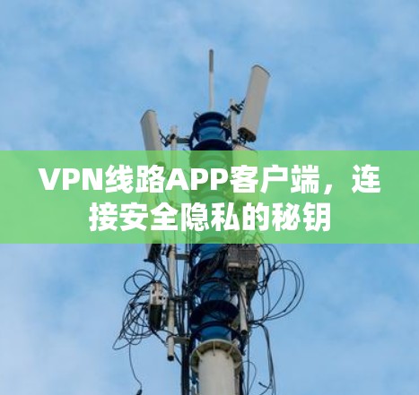 VPN线路APP客户端，连接安全隐私的秘钥