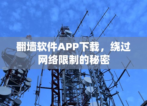 翻墙软件APP下载,绕过网络限制的秘密 翻墙软件APP下载,绕过网络限制的秘密