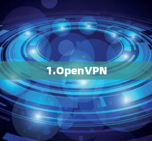 1.OpenVPN 1.OpenVPN