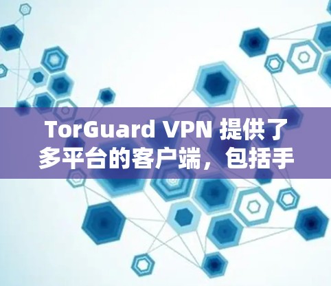 TorGuard VPN 提供了多平台的客户端，包括手机端的应用程序，这样你可以在手机上轻松连接并使用 VPN 服务。以下是使用 TorGuard VPN 手机客户端的详细说明