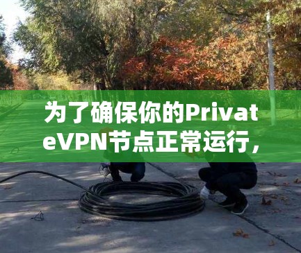 为了确保你的PrivateVPN节点正常运行,可以按照以下步骤进行检测 为了确保你的PrivateVPN节点正常运行,可以按照以下步骤进行检测