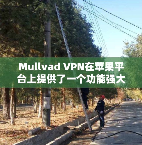 Mullvad VPN在苹果平台上提供了一个功能强大、安全且易用的应用,适合需要保护隐私和安全的用户。以下是对该应用的详细分析和总结 Mullvad VPN在苹果平台上提供了一个功能强大、安全且易用的应用,适合需要保护隐私和安全的用户。以下是对该应用的详细分析和总结